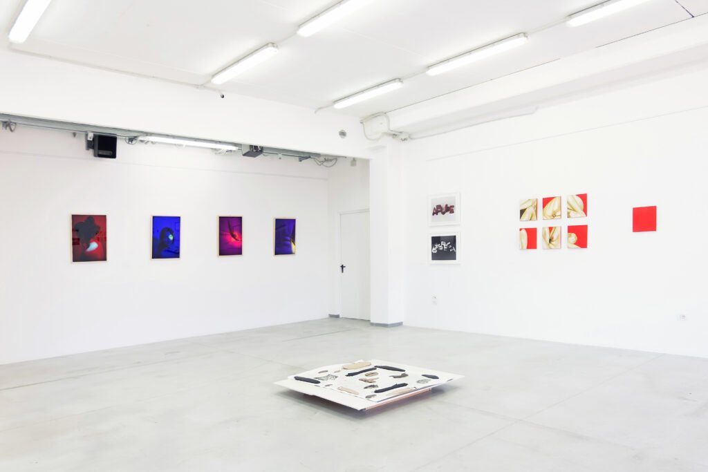 GESTATING A FEMINIST ART FESTIVAL