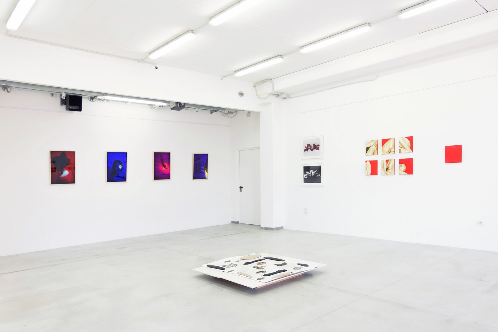 GESTATING A FEMINIST ART FESTIVAL